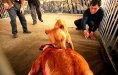 Combat en Chine